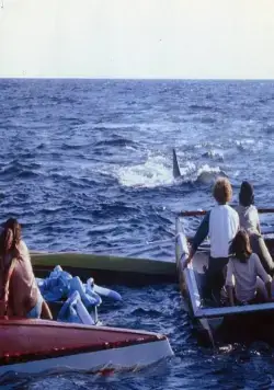 Челюсти 2 (1978) в хорошем качестве через торрент Челюсти 2 (1978) фильм в хорошем качестве через торрент