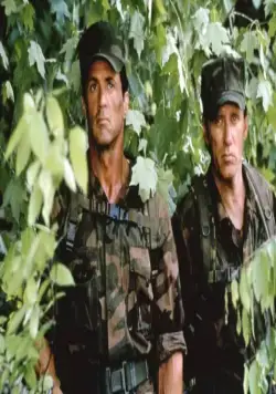 Специалист (1994) через торрент бесплатно Специалист (1994) фильм через торрент бесплатно