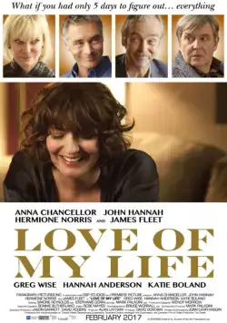 Скачать Любовь всей моей жизни / Love of My Life (2017) фильм через торрент на русском