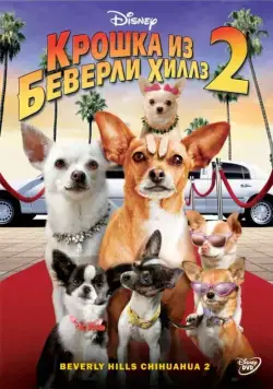 Скачать Крошка из Беверли-Хиллз 2 / Beverly Hills Chihuahua 2 (2010) фильм через торрент на русском