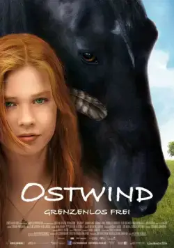 Восточный ветер / Ostwind (2013) фильм скачать через торрент в хорошем качестве