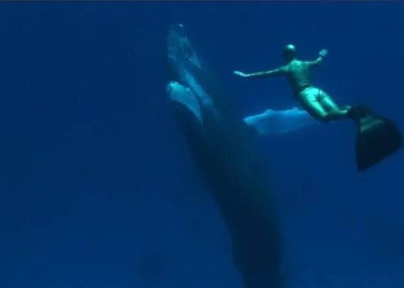 Бухта (2009) в хорошем качестве через торрент Бухта (2009) фильм в хорошем качестве через торрент