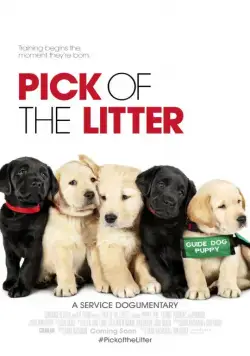 Выбор щенка / Pick of the Litter (2018) фильм скачать через торрент в хорошем качестве