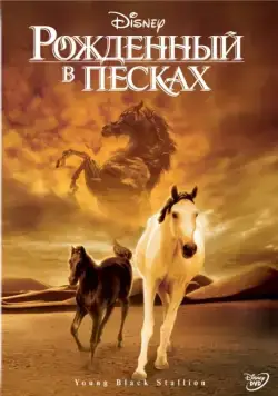 Рожденный в песках / Young Black Stallion (2003) фильм скачать через торрент в хорошем качестве