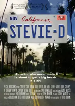 Скачать Стиви Ди / Stevie D (2016) фильм через торрент на русском