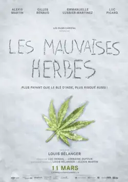 Плохие семена / Les mauvaises herbes (2016) фильм скачать через торрент в хорошем качестве