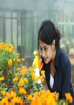 Когти (2011) в хорошем качестве через торрент Когти (2011) фильм в хорошем качестве через торрент