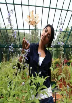 Когти (2011) через торрент бесплатно Когти (2011) фильм через торрент бесплатно