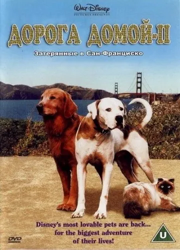 Дорога домой 2: Затерянные в Сан-Франциско / Homeward Bound II: Lost in San Francisco (1996) фильм скачать через торрент в хорошем качестве