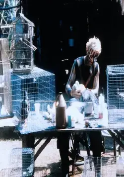 Редкая порода (1984) через торрент бесплатно Редкая порода (1984) фильм через торрент бесплатно