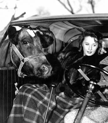 Помни эту ночь (1939) через торрент скачать Помни эту ночь (1939) фильм через торрент скачать