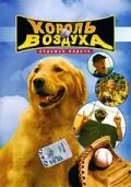 Король воздуха: Седьмая подача / Air Bud: Seventh Inning Fetch (2002) фильм скачать через торрент в хорошем качестве