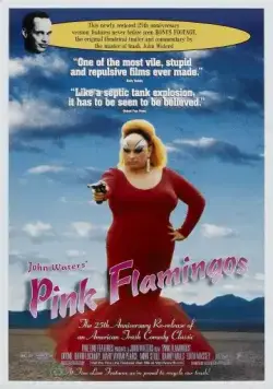 Розовые фламинго / Pink Flamingos (1972) фильм скачать через торрент в хорошем качестве