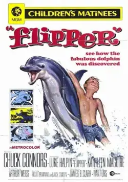 Флиппер / Flipper (1963) фильм скачать через торрент в хорошем качестве