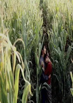 Семь мечей (2005) через торрент скачать Семь мечей (2005) фильм через торрент скачать