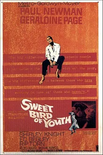Сладкоголосая птица юности / Sweet Bird of Youth (1962) фильм скачать через торрент в хорошем качестве