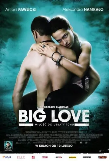 Большая любовь / Big Love (2012) фильм скачать через торрент в хорошем качестве