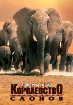 Африка – королевство слонов / Africa's Elephant Kingdom (1998) фильм скачать через торрент в хорошем качестве
