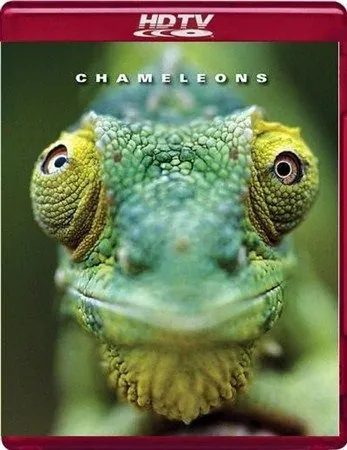 Скачать Хамелеоны мира / Chameleons of the world (2011) фильм через торрент на русском