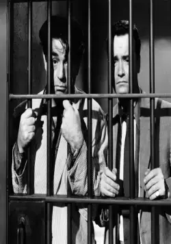 Моя сестра Эйлин (1955) через торрент скачать Моя сестра Эйлин (1955) фильм через торрент скачать