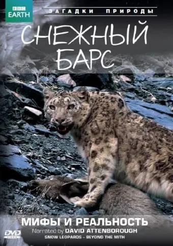 Скачать BBC: Снежный барс: Мифы и реальности / Natural World: Snow Leopard - Beyond the Myth (2007) фильм через торрент на русском
