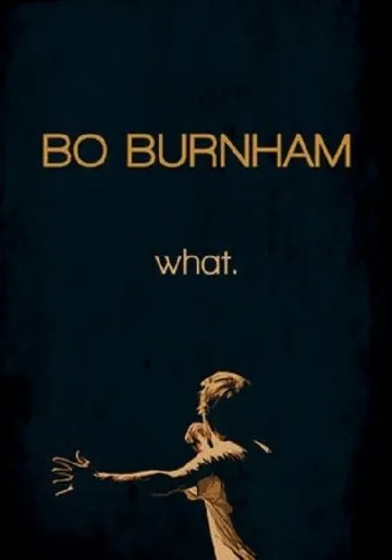 Бо Бёрнем: Что. / Bo Burnham: what. (2013) фильм скачать через торрент в хорошем качестве