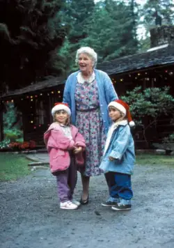 Прячься, бабушка! Мы едем (1992) в хорошем качестве через торрент Прячься, бабушка! Мы едем (1992) фильм в хорошем качестве через торрент