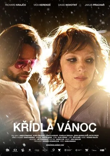 Крылатое Рождество / Krídla Vánoc (2013) фильм скачать через торрент в хорошем качестве