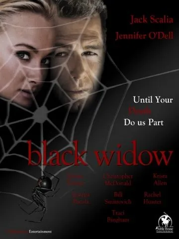 Чёрная вдова / Black Widow (2010) фильм скачать через торрент в хорошем качестве