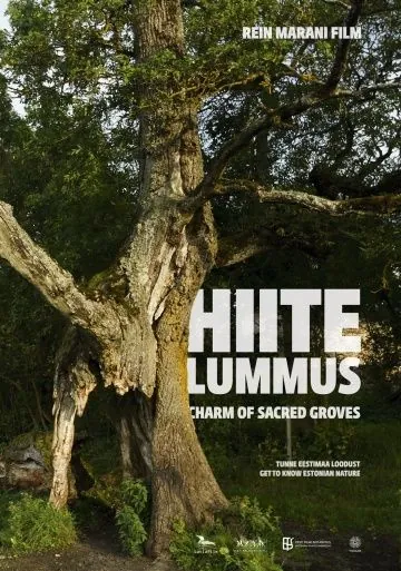 Тайная роща / Hiite lummus (2013) фильм скачать через торрент в хорошем качестве