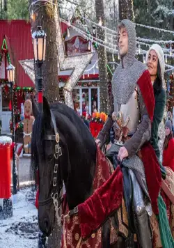 Рыцарь перед Рождеством (2019) через торрент скачать Рыцарь перед Рождеством (2019) фильм через торрент скачать