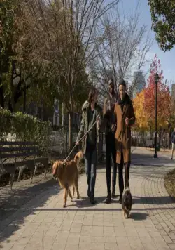 Современная любовь (2019) через торрент бесплатно Современная любовь (2019) сериал через торрент бесплатно