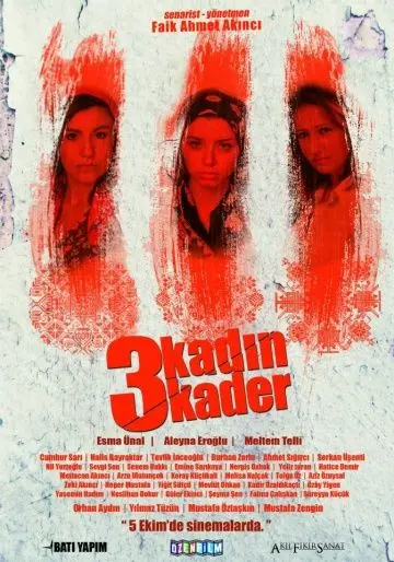 3 женщины 3 судьбы / 3 Kadin 3 Kader (2013) фильм скачать через торрент в хорошем качестве