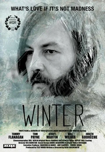 Скачать Зима / Winter (2015) фильм через торрент на русском