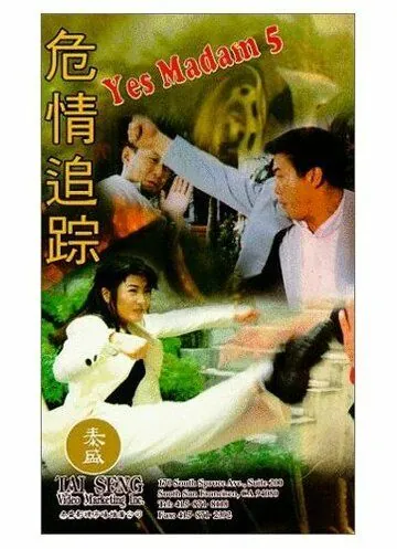 Да, мадам 5 / Wei qing zhui zong (1996) фильм скачать через торрент в хорошем качестве