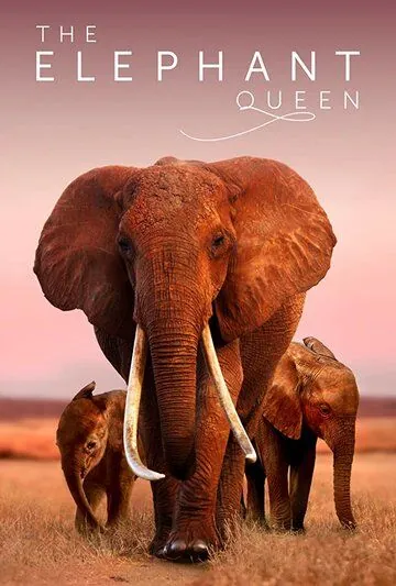 Королева слонов / The Elephant Queen (2019) фильм скачать через торрент в хорошем качестве