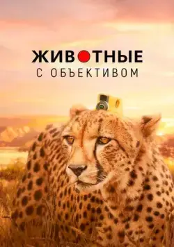Животные с объективом / Animals with Cameras (2018) сериал скачать через торрент в хорошем качестве