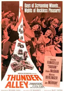 Грозовая аллея / Thunder Alley (1967) фильм скачать через торрент в хорошем качестве