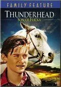 Грозовая туча – сын Флики / Thunderhead - Son of Flicka (1945) фильм скачать через торрент в хорошем качестве
