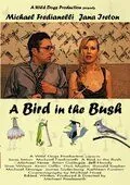 Журавль в небе / A Bird in the Bush (2008) фильм скачать через торрент в хорошем качестве