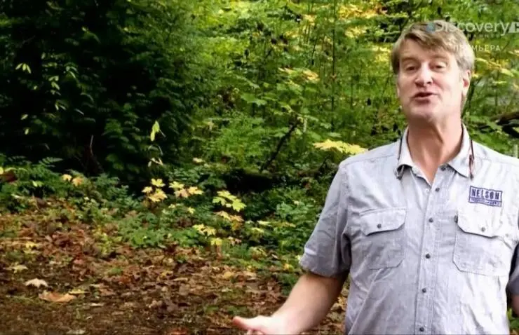 Дома на деревьях (2013) в хорошем качестве через торрент Дома на деревьях (2013) сериал в хорошем качестве через торрент