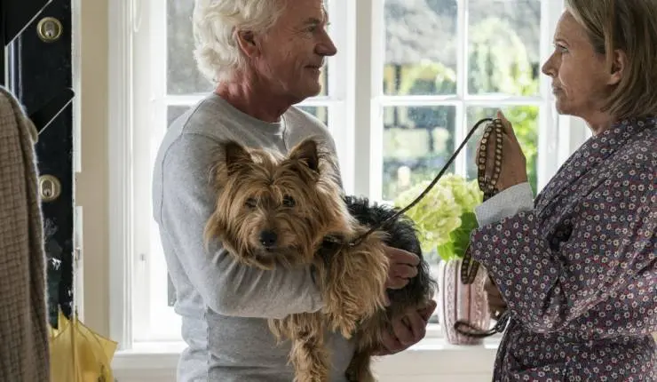 Счастливый конец (2018) в хорошем качестве через торрент Счастливый конец (2018) фильм в хорошем качестве через торрент