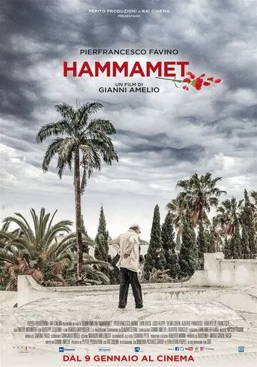 Хаммамет / Hammamet (2020) фильм скачать через торрент в хорошем качестве