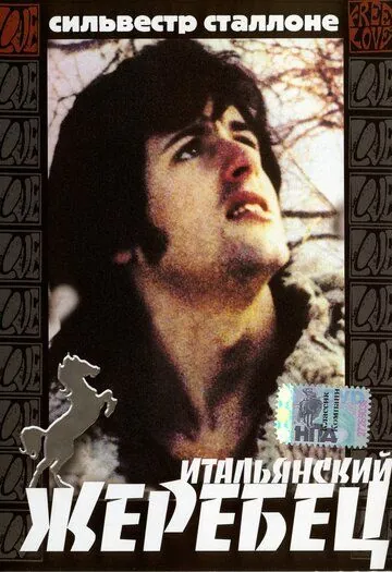 Итальянский жеребец / The Party at Kitty and Stud's (1970) фильм скачать через торрент в хорошем качестве