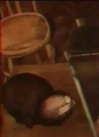 Лень (1979) мультфильм скачать через торрент в хорошем качестве