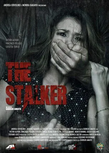 Сталкер / The Stalker (2013) фильм скачать через торрент в хорошем качестве