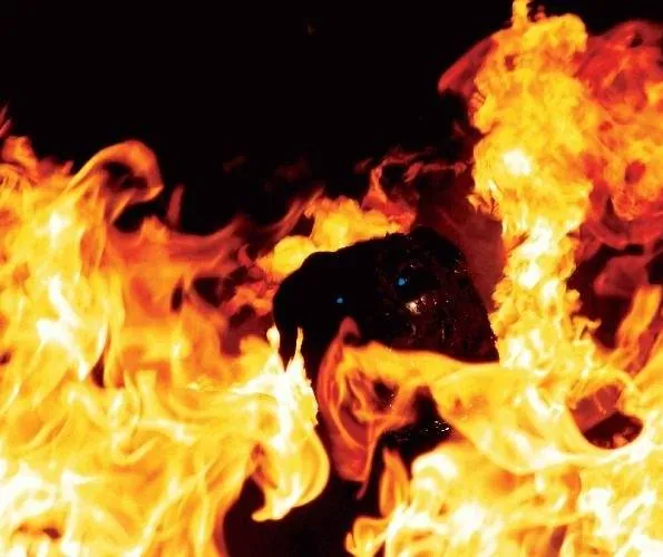 Ротвейлер (2004) через торрент скачать Ротвейлер (2004) фильм через торрент скачать