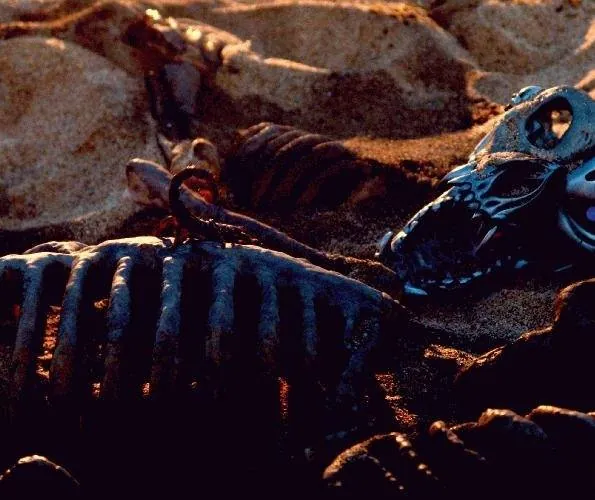 Ротвейлер (2004) через торрент бесплатно Ротвейлер (2004) фильм через торрент бесплатно