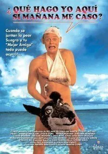 Скачать Особенности холостяцкой вечеринки / Staggered (1994) фильм через торрент на русском