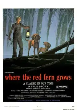 Цветок красного папоротника / Where the Red Fern Grows (1974) фильм скачать через торрент в хорошем качестве